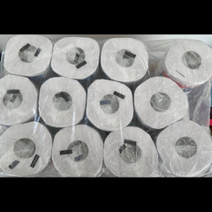 Scott Toilet Paper x 24 rolls